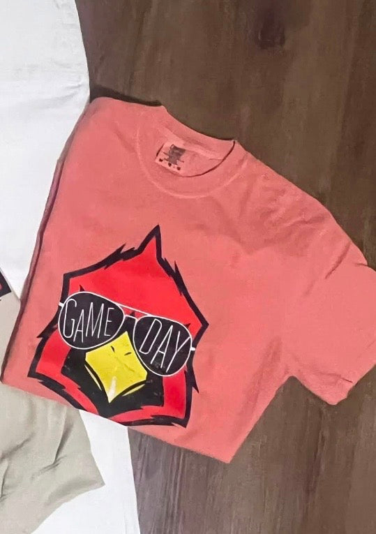 Cardinals school spirit T-shirt